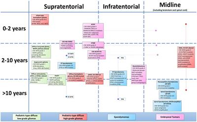 Pediatric CNS tumors and 2021 WHO classification: what do oncologists need from pathologists?